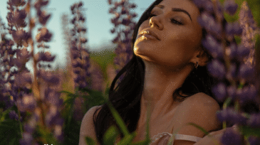 demo-attachment-1152-6